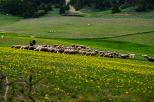 Yozgat Tanıtım