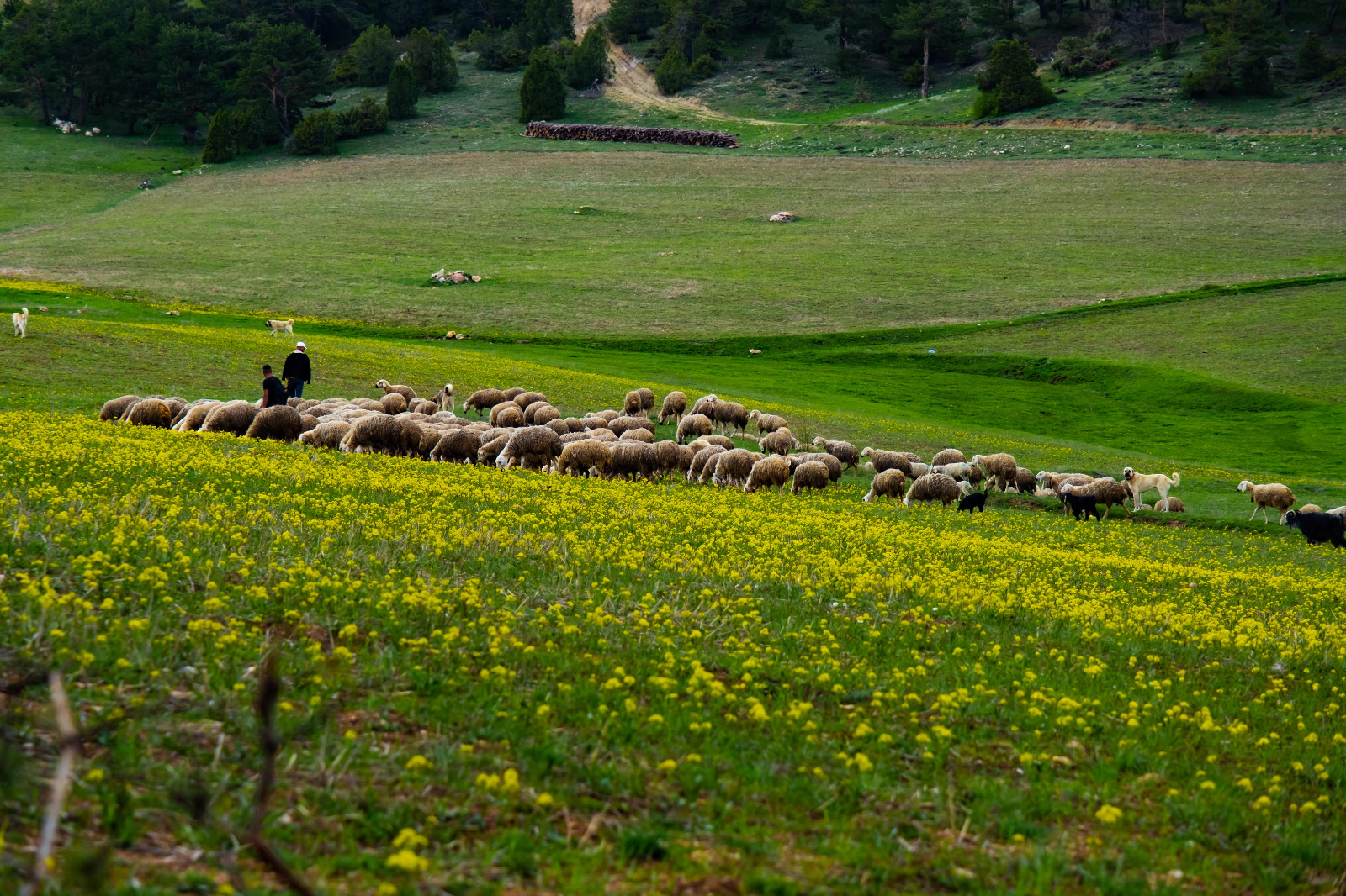 Yozgat Tanıtım