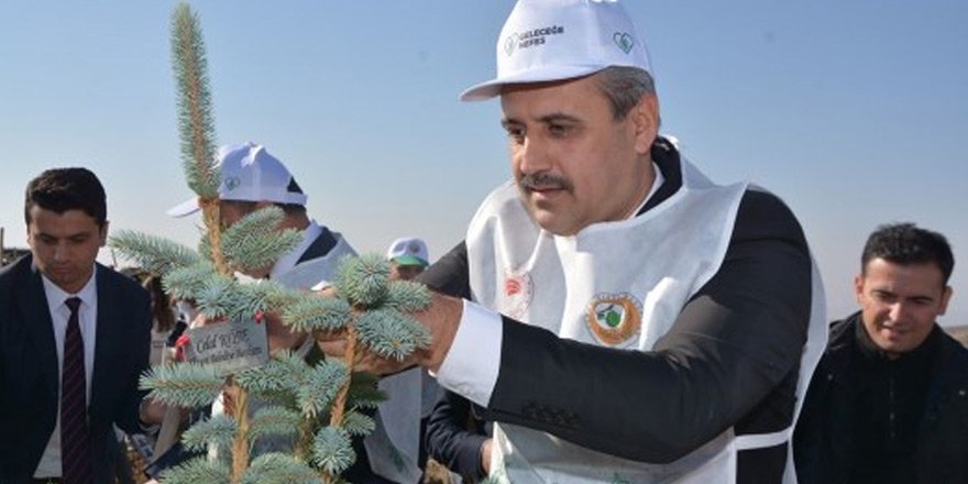 Yozgat’ın Bozkırı Ağaçlandırılıyor