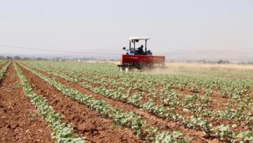 Tarım ve Orman Bakanlığı’na bazı ürünlerin ihracatına ilişkin verilen düzenleme yetkisi uzatıldı