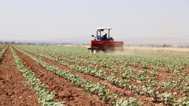Tarım ve Orman Bakanlığı’na bazı ürünlerin ihracatına ilişkin verilen düzenleme yetkisi uzatıldı